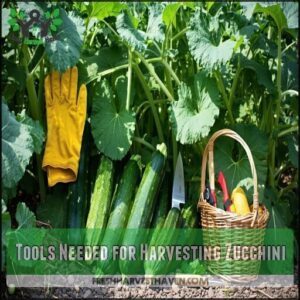Tools Needed for Harvesting Zucchini