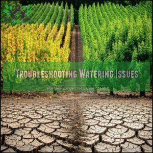 Troubleshooting Watering Issues