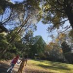 Two children walking together in a park, enjoying the outdoors.