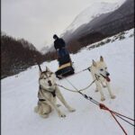 Two husky dogs are pulling a sled with a man in a blue coat riding in it.