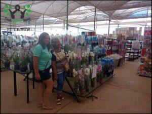 Two women standing in front of a flower shop, posing for a picture.