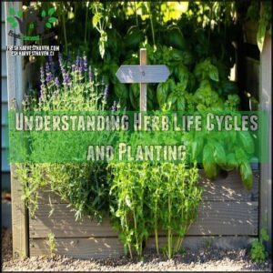 Understanding Herb Life Cycles and Planting