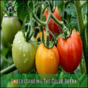 Understanding The Color Break
