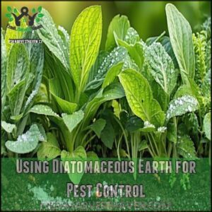 Using Diatomaceous Earth for Pest Control