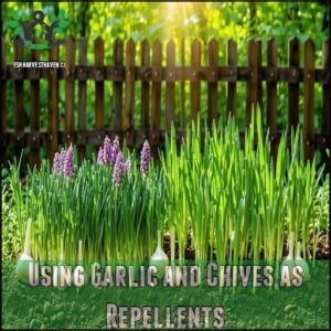 Using Garlic and Chives as Repellents