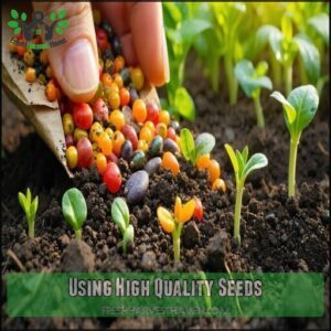 Using High Quality Seeds