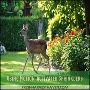 Using Motion-Activated Sprinklers
