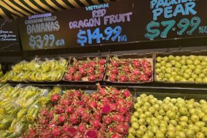 Vasse Village by Bunbury Farmers Market