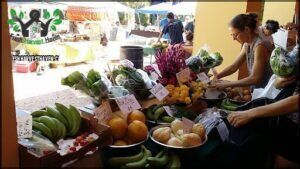 Viejo San Juan Farmers Market