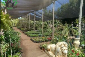 Vivero el Jardin de Coty
