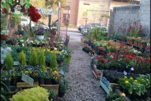 Vivero El Paraíso