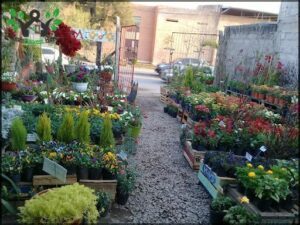 Vivero El Paraíso