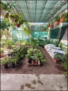 Vivero Gaia