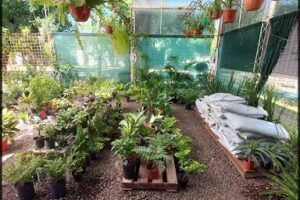 Vivero Gaia