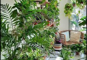Vivero Green Paradise