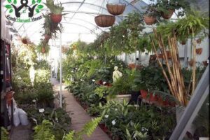 Vivero Las Margaritas