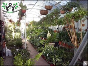 Vivero Las Margaritas