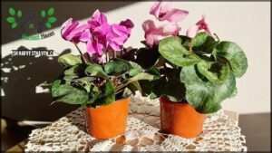 Vivero MAJEN