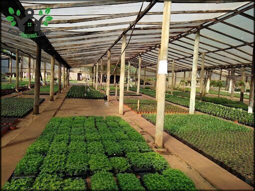 Vivero Miguel