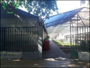 Vivero No Me Olvides