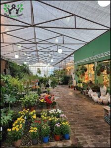 Vivero Rapa