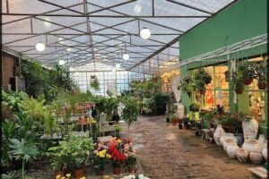 Vivero Rapa