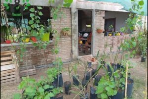Vivero Ruta 9 km 1118 - YANDA