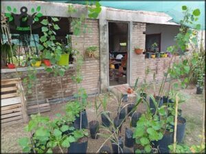Vivero Ruta 9 km 1118 - YANDA