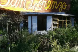 Vivero San Lorenzo