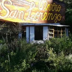 Vivero San Lorenzo
