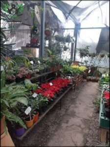 Vivero Santa Fe