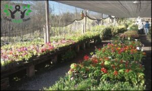 Vivero Shunko