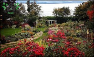 Vivero Terruños de Patagonia