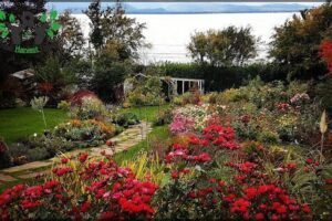 Vivero Terruños de Patagonia