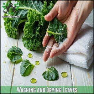 Washing and Drying Leaves