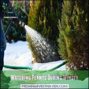 Watering Plants During Winter
