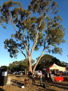 What Happened to Sunday duo