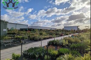 Wholesale Plants & Products Pty Ltd