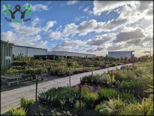 Wholesale Plants & Products Pty Ltd