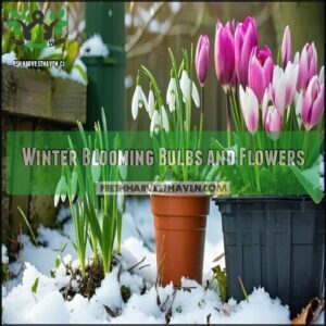 Winter Blooming Bulbs and Flowers