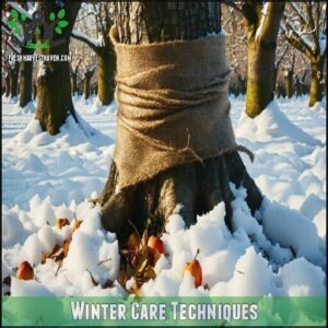 Winter Care Techniques