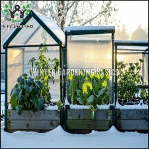 Winter Gardening Basics