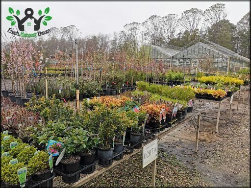 Yarralumla Government Nursery