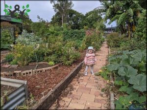 Yeronga Community Gardens