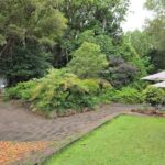 A beautiful garden with a variety of plants, including a large bush with orange flowers.