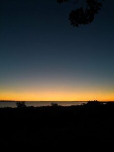 A beautiful sunset over the ocean, with a tree in the foreground.
