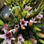 A bouquet of flowers is displayed in a paper bag.