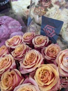 A bouquet of roses in a clear plastic bag.