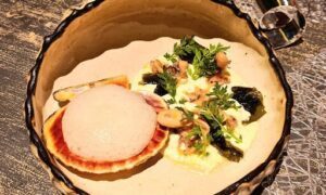 A bowl of food with a white sauce and a white mushroom.