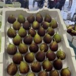 A box filled with green fruits, likely figs, sits on a table.